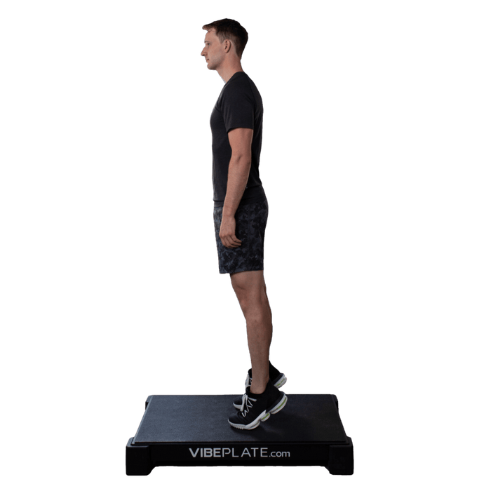 VibePlate 2440 Whole Body Large Vibration Machine Durable Fitness Equipment