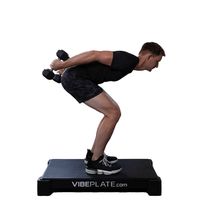 VibePlate 2440 Whole Body Large Vibration Machine Durable Fitness Equipment