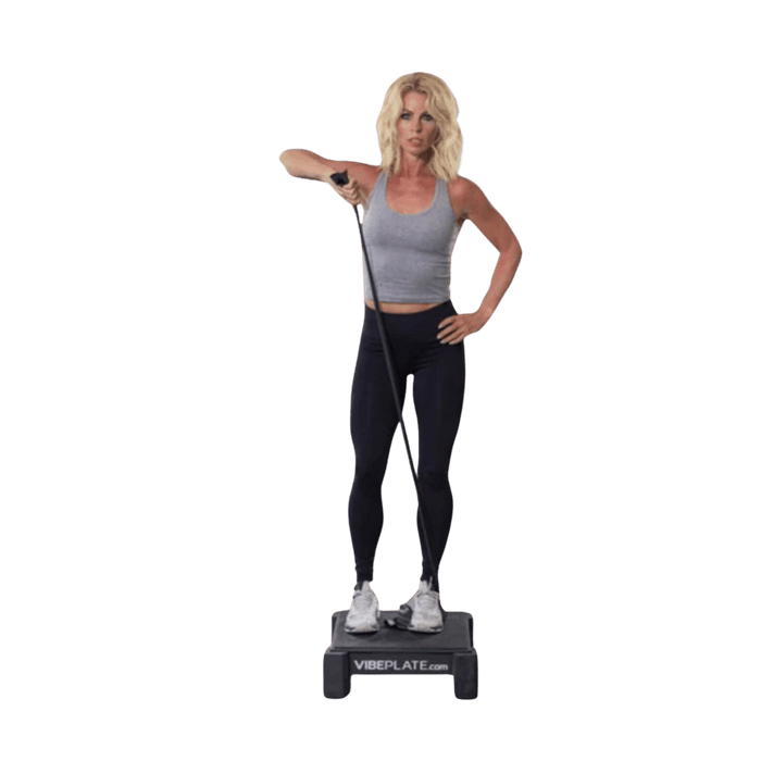 VibePlate Mini Whole-Body Vibration Platform Machine